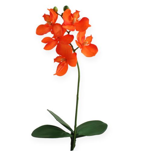 Floristik21 Künstliche Orchidee mit Blättern Orange 35cm