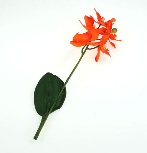 Floristik21 Künstliche Orchidee mit Blättern Orange 35cm