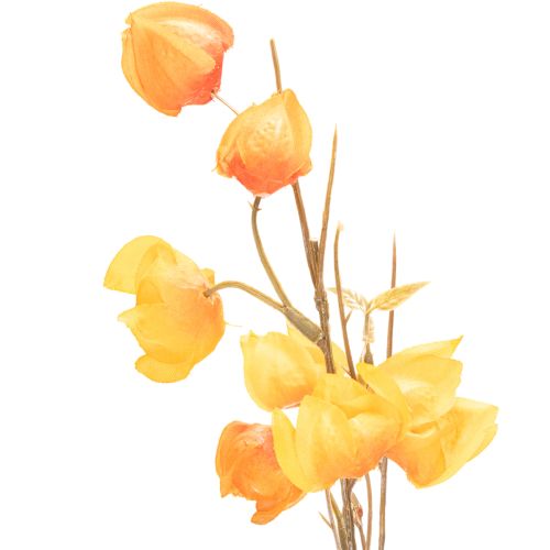 Lampionblume künstlich Physalis-Zweig 95cm Orange Innenbereich | Floristik21.de