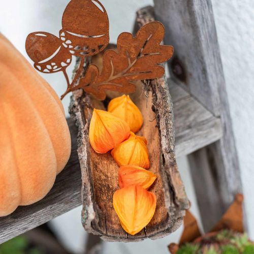 Floristik21 Physalis Orange Sortiert 22 St Deko-Blütenkelche künstlich