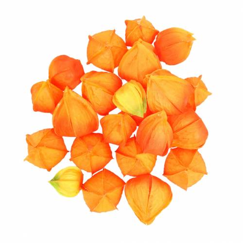 Floristik21 Physalis Orange Sortiert 22St Deko-Blütenkelche künstlich