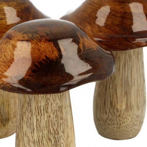Deko Pilz Mangoholz Herbstdeko Ø7cm H9cm 4St