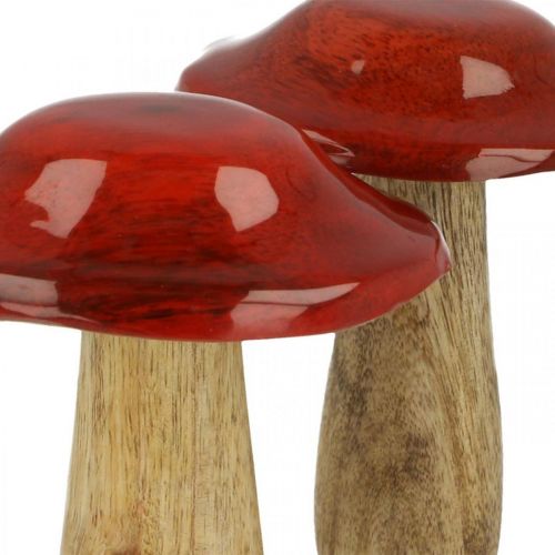 Floristik21 Pilz Mangoholz Rot, Natur Dekoration Herbst Ø9cm H12cm 2St