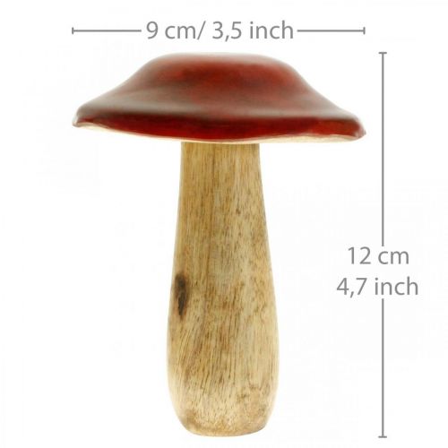 Floristik21 Pilz Mangoholz Rot, Natur Dekoration Herbst Ø9cm H12cm 2St