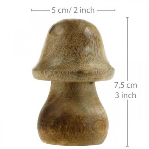 Floristik21 Pilz Mangoholz Natur Holzpilz Herbstdeko Ø5cm H7,5cm 6St
