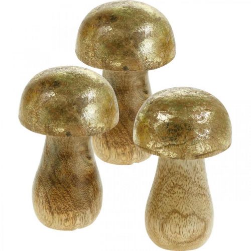 Floristik21 Pilz Mangoholz Gold, Natur Dekopilz Ø6cm H10cm 4St