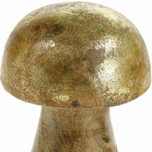 Floristik21 Pilz Mangoholz Gold, Natur Dekopilz Ø6cm H10cm 4St