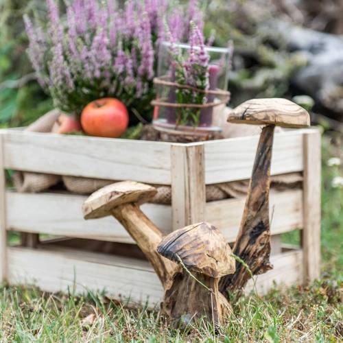 Pilze Pflaumenholz H27cm
