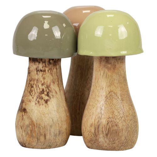 Floristik21 Holzpilze Deko Pilze Holz Beige, Grün Ø5cm H10,5cm 6St