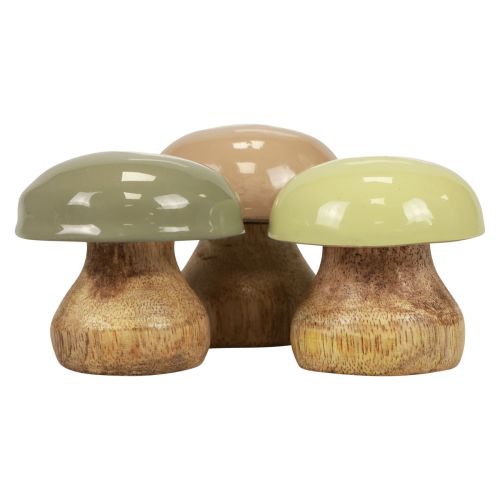 Floristik21 Holzpilze Deko Pilze Holz Deko Beige, Grün Ø5cm H5,5cm 12St