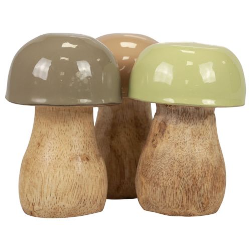 Floristik21 Holzpilze Deko Pilze Holz Beige, Grün Ø5cm 7,5cm 12St