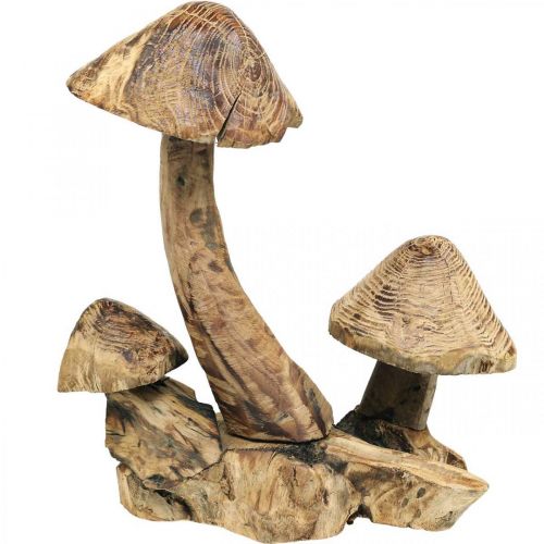 Floristik21 Pilzgruppe, Paulownia Holz, Herbstdeko, Holz-Skulptur H33cm L30cm