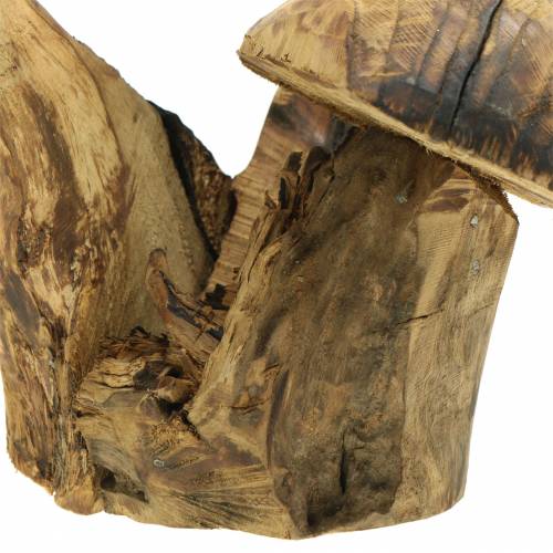 Pilze Pflaumenholz H27cm