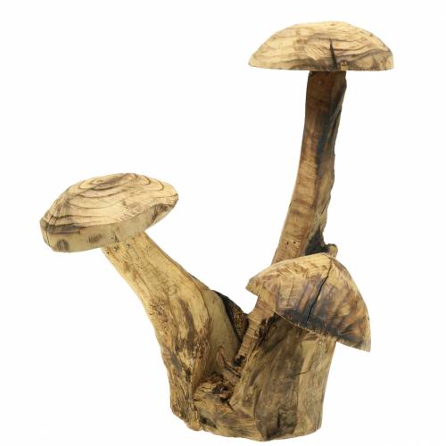 Floristik21 Pilze Pflaumenholz H27cm