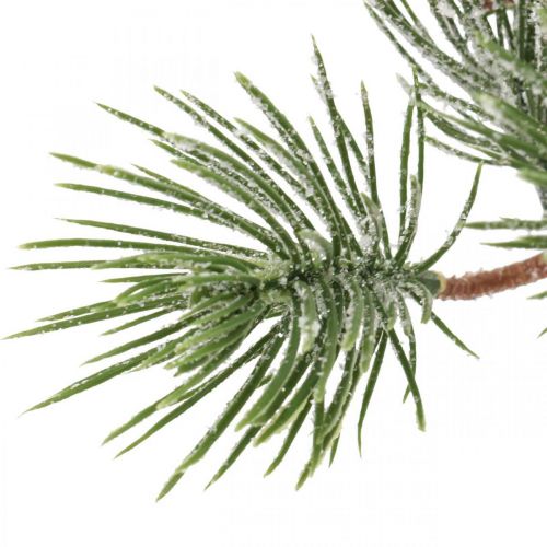 Floristik21 Weihnachtszweige künstlich Pinienzweig Beschneit 30cm 6St
