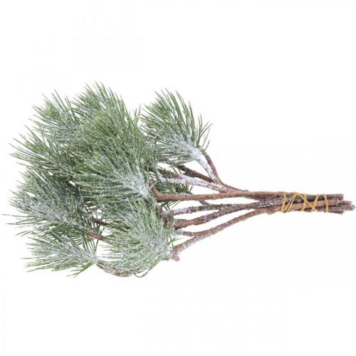 Floristik21 Weihnachtszweige künstlich Pinienzweig Beschneit 30cm 6St