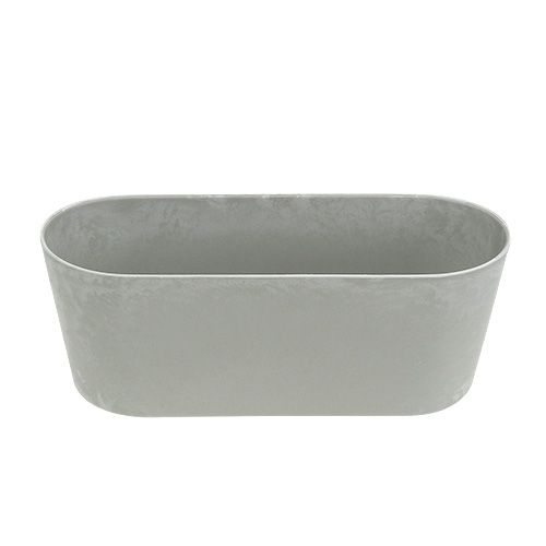 Floristik21 Plastikschale oval Grau 27cm x 11cm H10cm 1St