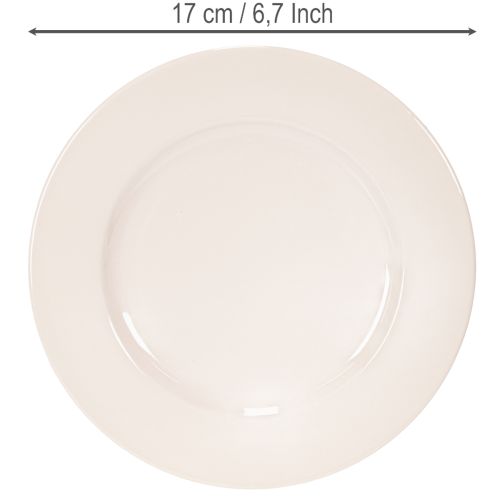 Teller rund Kunststoff 17 cm apricot 6 Stück Dekoration | Floristik21.de