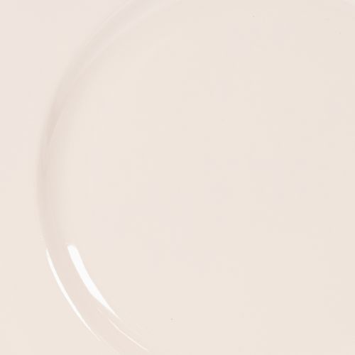 Teller rund Kunststoff 17 cm apricot 6 Stück Dekoration | Floristik21.de
