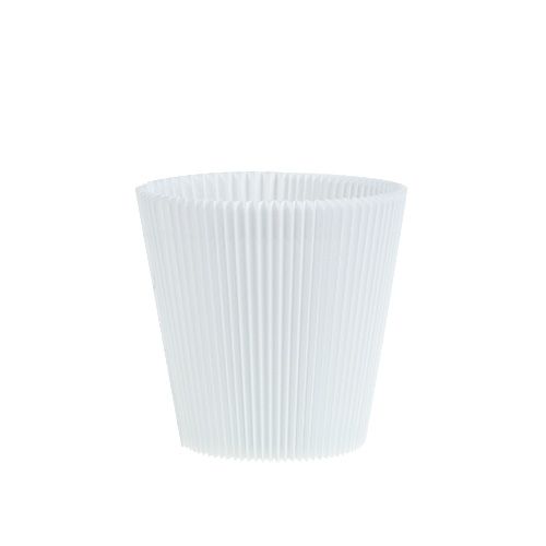Floristik21 Plisseemanschetten Weiß 8,5cm 100 St