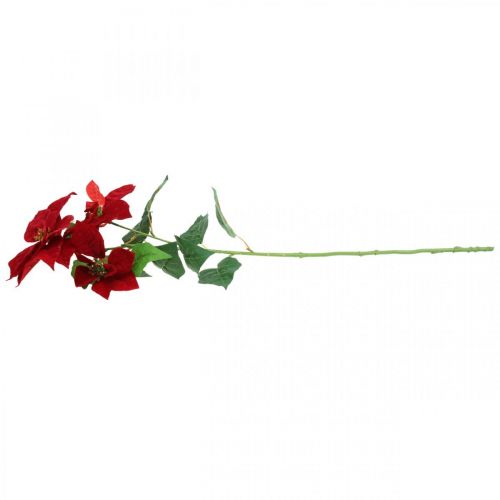 Floristik21 Künstlicher Weihnachtsstern Rot Stielblume 3 Blüten 85cm