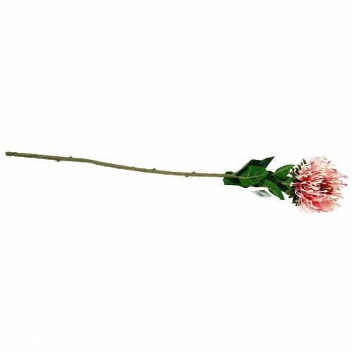 Floristik21.de Protea Künstlich Rosa 73cm-65214