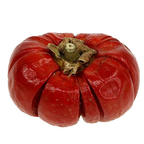 Floristik21 Pumkin Minis Rot 250g