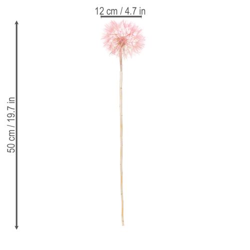 Artikel Trockenblumen Deko Pusteblume Rosa Zweig 50cm 4 Stück