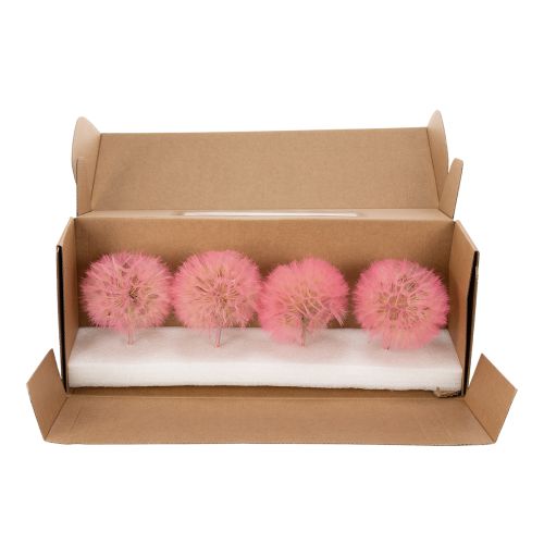 Artikel Trockenblumen Deko Pusteblume Rosa Zweig 50cm 4 Stück