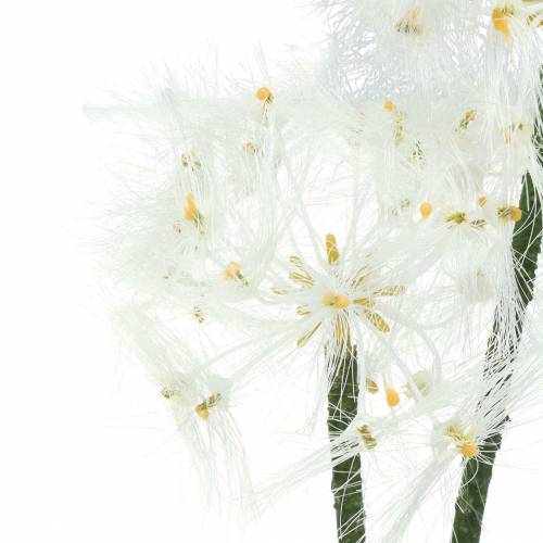 Floristik21 Künstliche Wiesenblume Riesenpusteblume Weiß 57cm