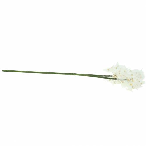Floristik21 Künstliche Wiesenblume Riesenpusteblume Weiß 57cm