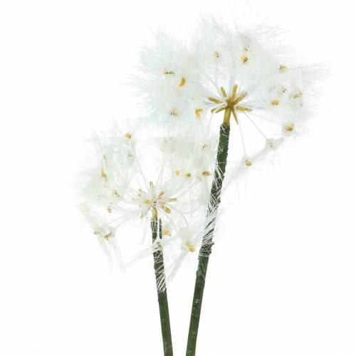 Floristik21 Künstliche Wiesenblume Riesenpusteblume Weiß 57cm