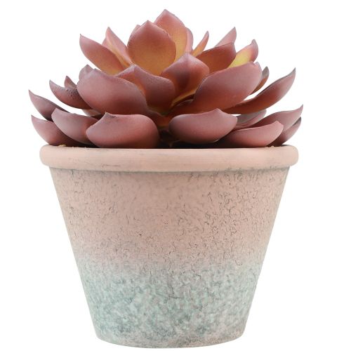 Artikel Sukkulente im Topf Echeveria künstlich Rot Vintage Ø15cm H16cm