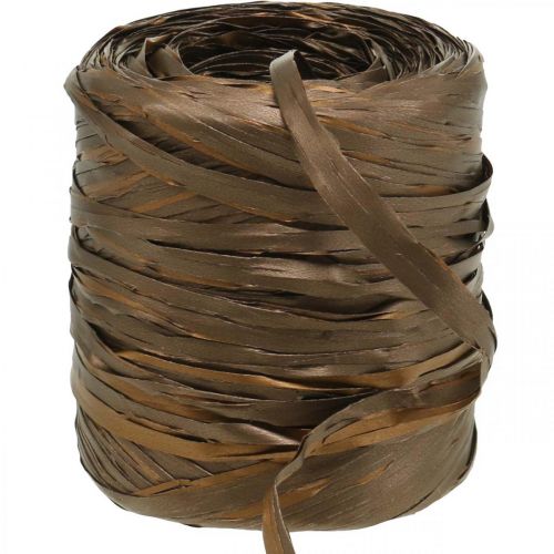 Floristik21 Raffia Band Braun Bicolor Geschenkband Dekoband 200m