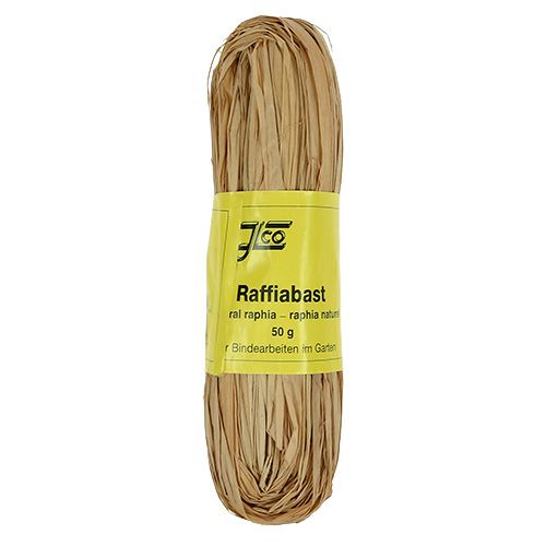 Floristik21 Raffiabast 50g
