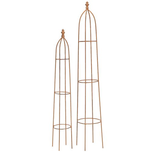 Floristik21 Rankhilfe Obelisk Rost Metall 2er-Set Gartendeko Vintage