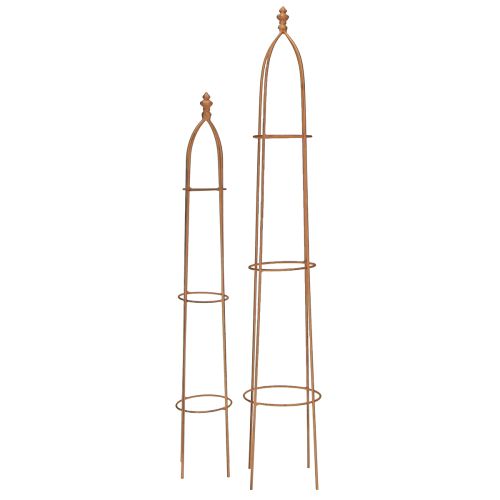 Floristik21 Rankhilfe Obelisk Rost Metall 2er-Set Gartendeko Vintage