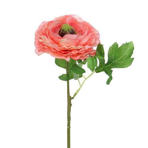 Floristik21 Ranunkel Rosa-Pink 27cm 8St