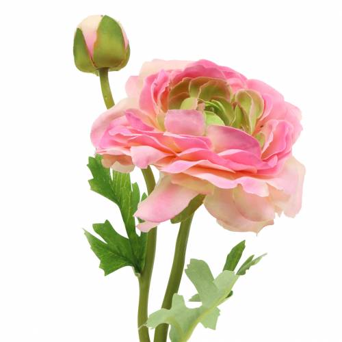 Floristik21.de Ranunkel Blüte und Knospe künstlich Rosa 34cm-66557