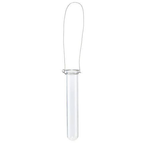 Floristik21 Reagenzglas Deko Glas zum Hängen Minivase Ø2,4cm H22,5cm