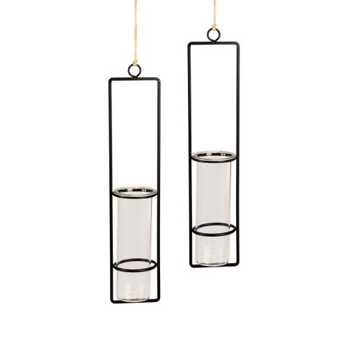 Floristik21 Reagenzglas Deko zum Hängen Minivasen Glas Ø6cm 32cm 2St