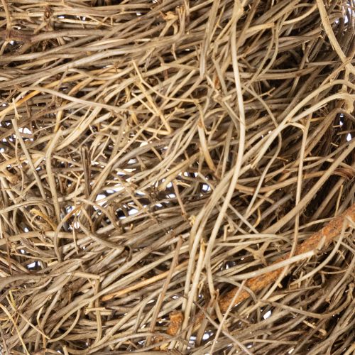 Naturmaterial Dekokranz aus Weinrebe Ø 35 cm zum Selbstgestalten | Floristik21.de