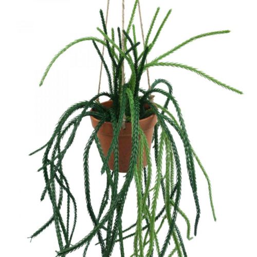 Floristik21 Rhipsalis künstlich Korallenkaktus Hängeampel H87cm