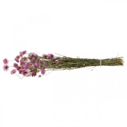 Artikel Strohblumen Trockenblumen Rosa Acroclinium Bund 20g