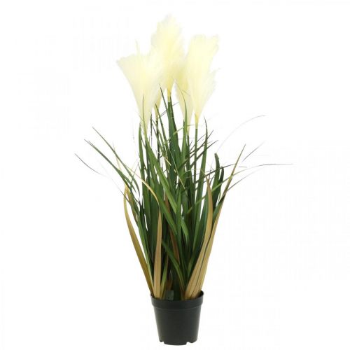 Riedgras im Topf Künstliche Topfpflanze Creme, Grün 79cm