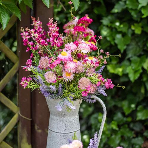 Artikel Rhodanthe Rosa-Pink, Seidenblumen, Kunstpflanze, Strohblumen-Bund L46cm