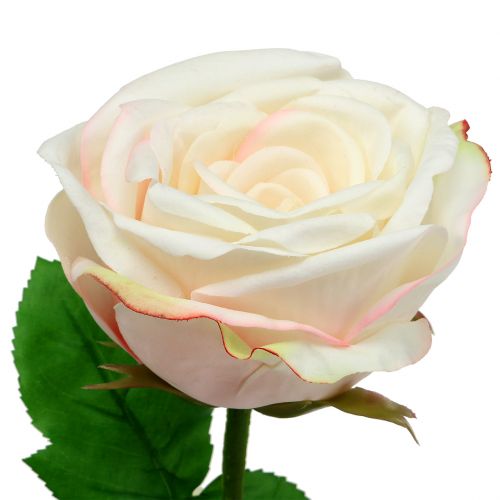 Floristik21 Künstliche Rose Creme 69cm