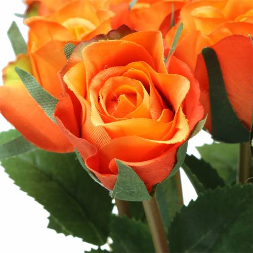 Floristik21 Rose Orange 42cm 12St