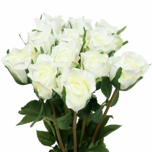 Floristik21 Rose Weiß 42cm 12St