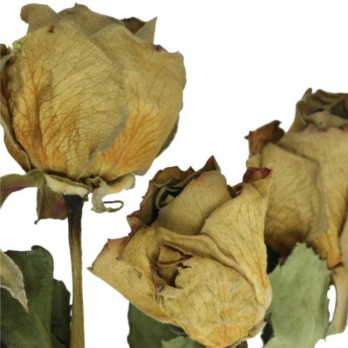 Artikel Trockenblume Rose, Valentinstag, Trockenfloristik, rustikale Deko-Rosen Gelb-Violett L45–50cm 5St